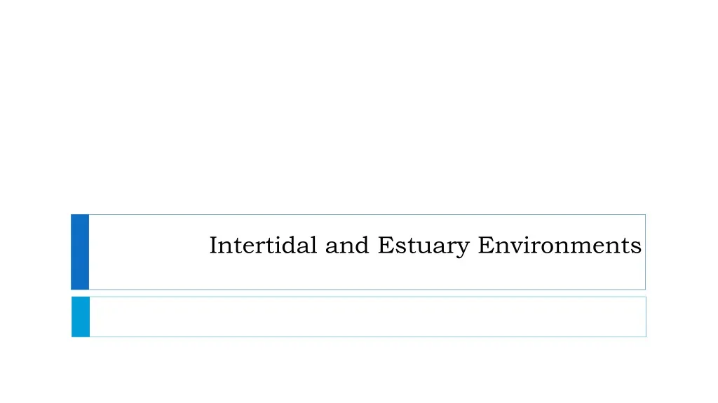 intertidal and estuary environments