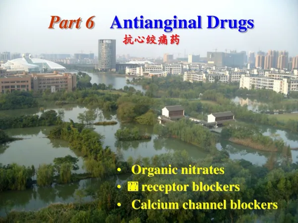 Part 6 Antianginal Drugs ?????