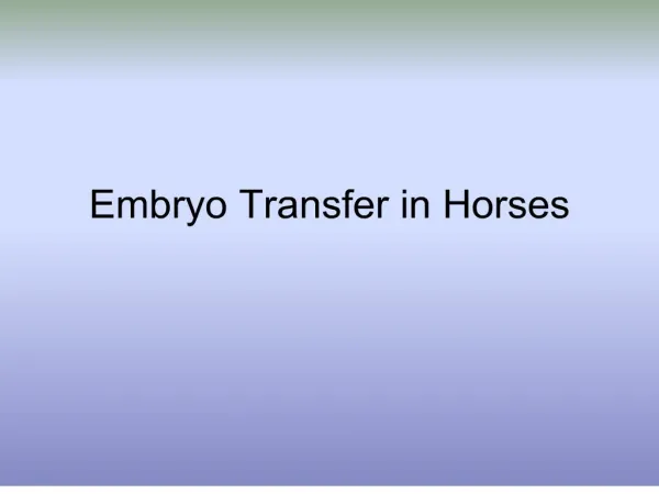 embryo transfer in horses