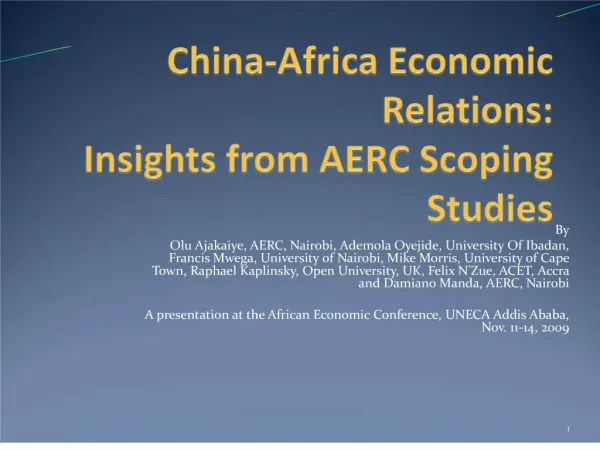 china-africa economic relations: seizing the opportunities and ...