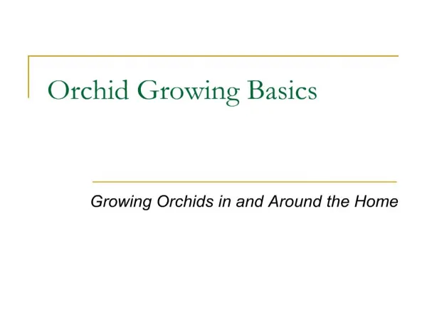 orchid growing basics