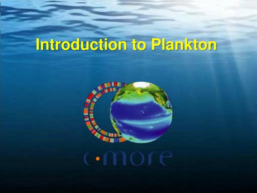 introduction to plankton