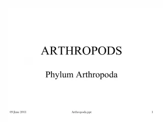 arthropods - slide 1
