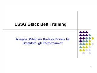 lssg black belt training - slide 1