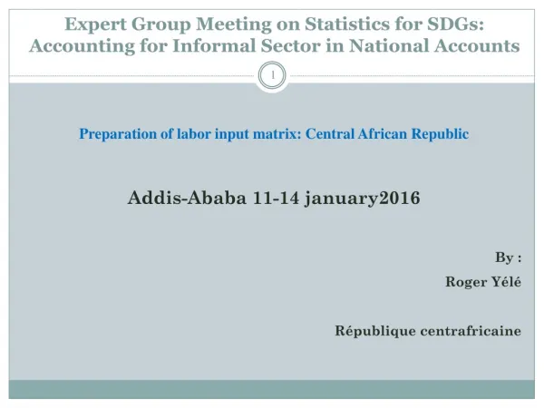 Expert Group Meeting on Statistics for SDGs: Accounting for Informal Sector in National Accounts