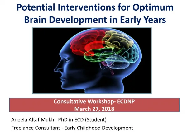 Potential Interventions for Optimum Brain Development in Early Years