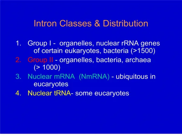 intron classes distribution
