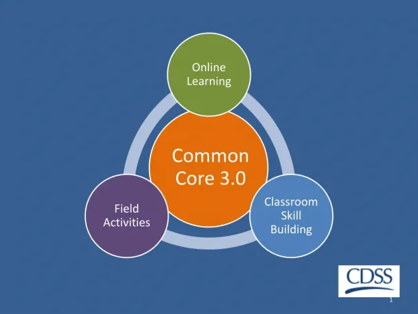 Common Core 3.0