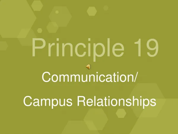 Principle 19