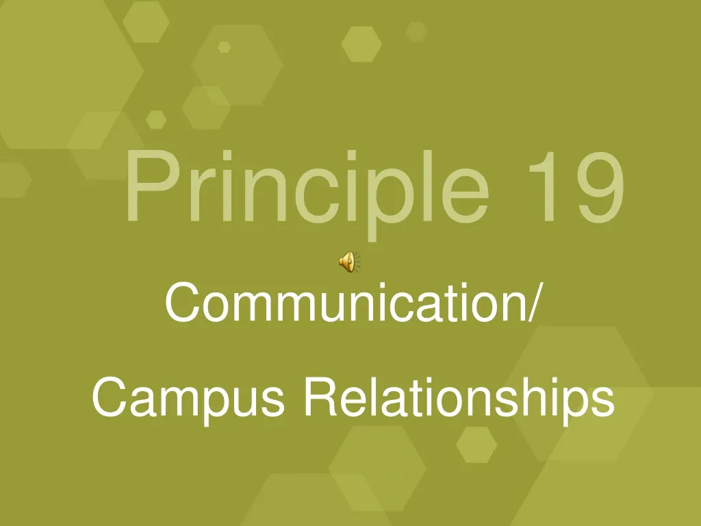 principle 19