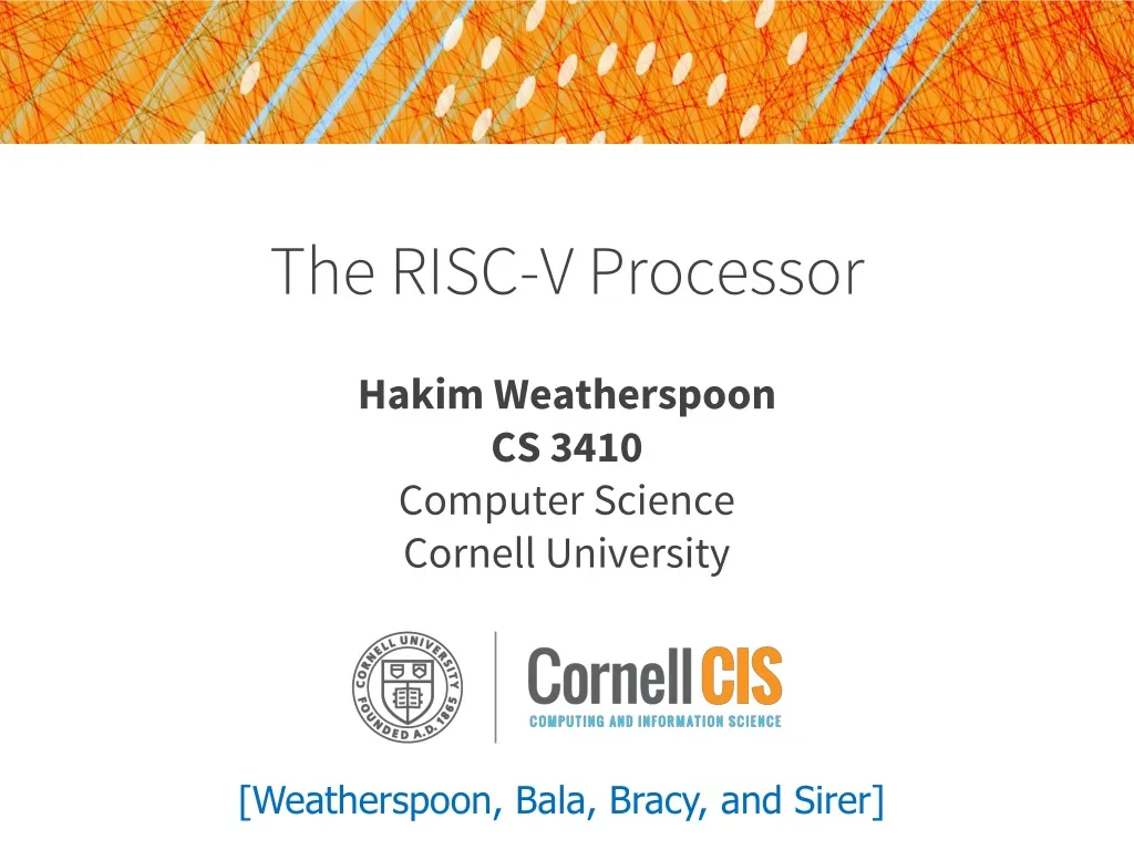 the risc v processor