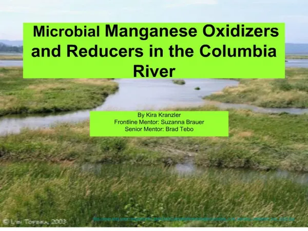 microbial manganese oxidizers and reducers in the columbia river