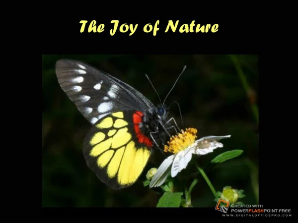 joy of nature