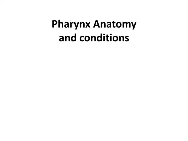 Pharynx Anatomy and conditions
