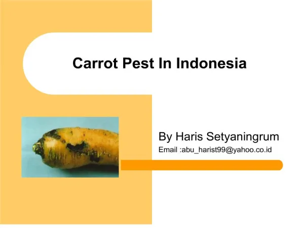 carrot pest in indonesia