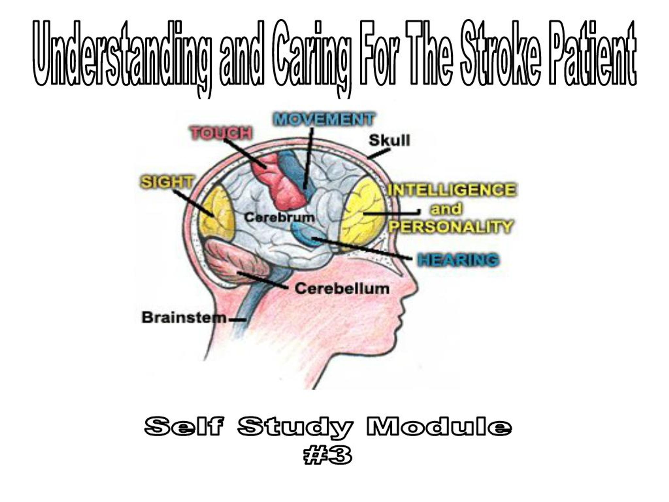 Stroke Module PPT - understanding and caring for the stroke patient self study module ...