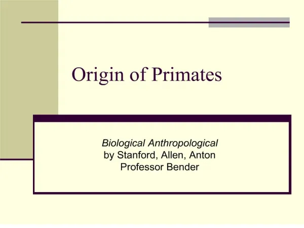 origin of primates