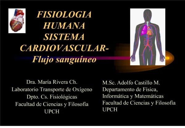fisiologia humana sistema cardiovascular-flujo sangu neo