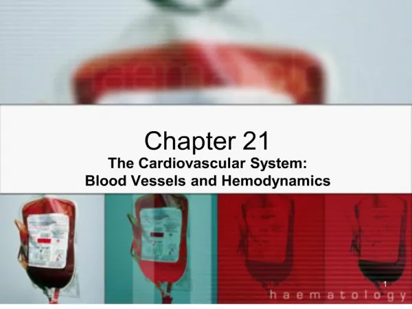 the cardiovascular system: blood vessels and hemodynamics