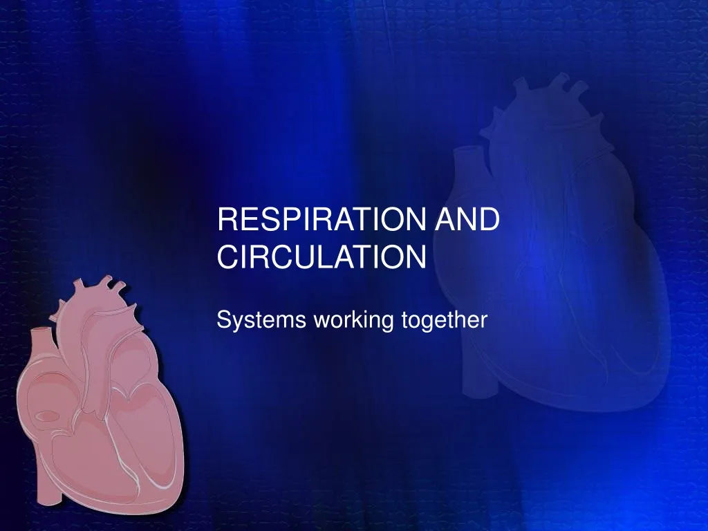 respiration and circulation