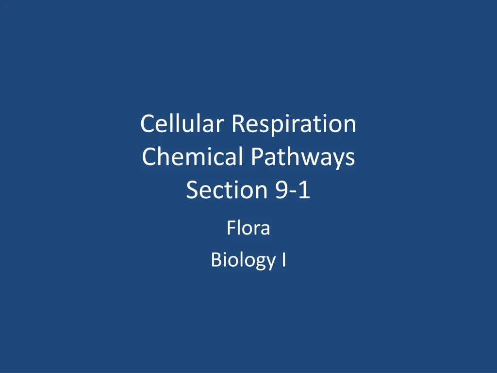 cellular respiration chemical pathways section 9 1