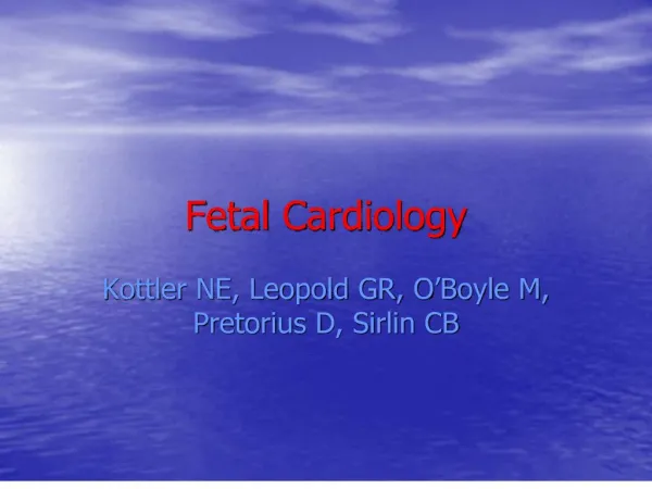 fetal cardiology