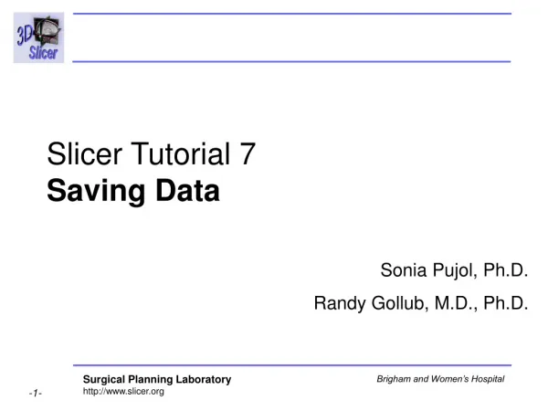 Slicer Tutorial 7 Saving Data