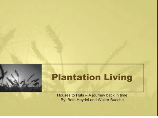 plantation living