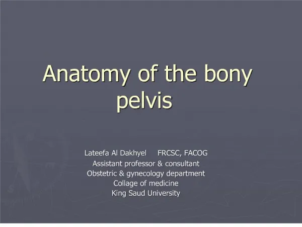 anatomy of the bony pelvis