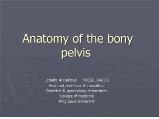 anatomy of the bony pelvis - slide 1