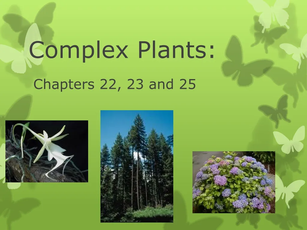 complex plants