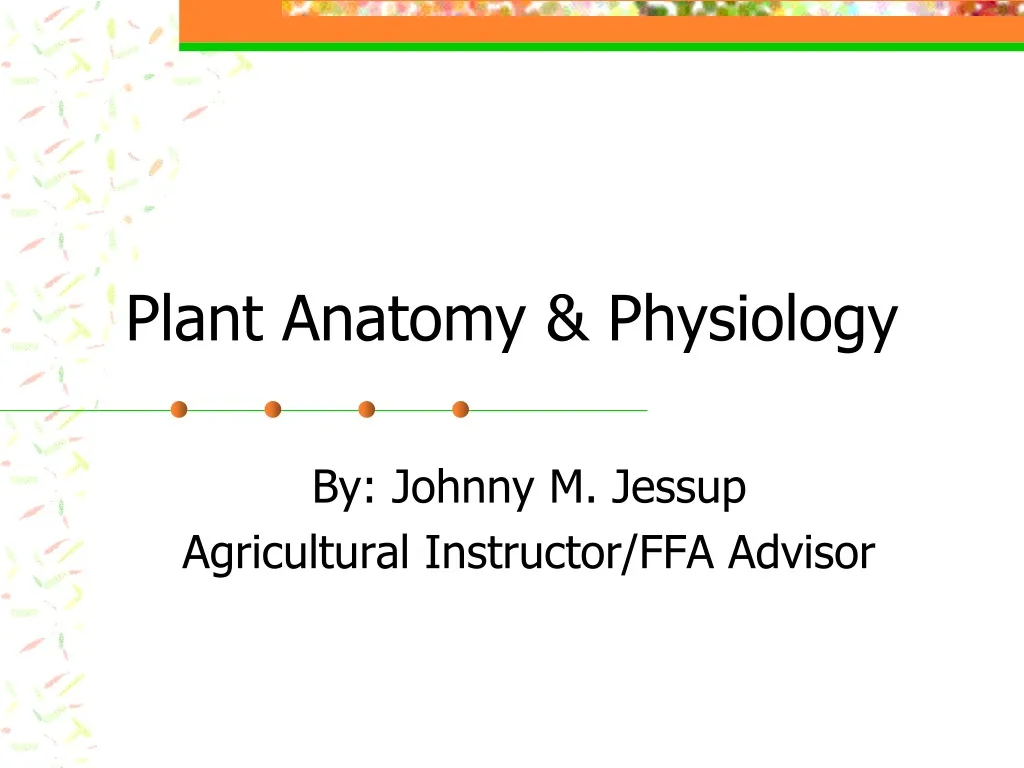 plant anatomy physiology