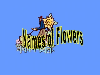 Names of Flowers