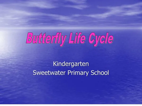 kindergarten sweetwater primary school