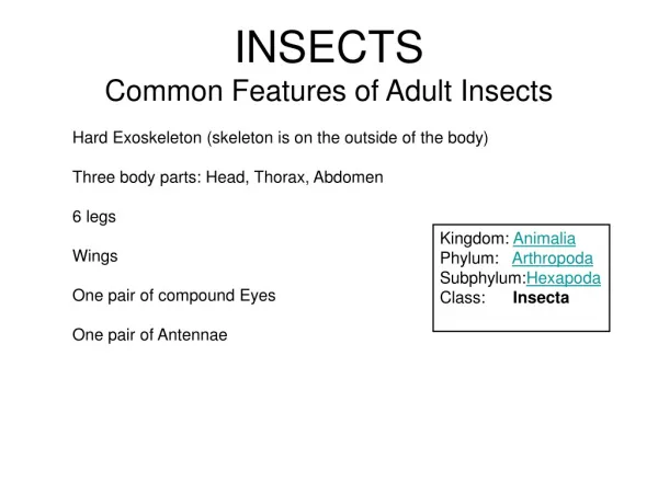 INSECTS Common Features of Adult Insects Hard Exoskeleton (skeleton is on the outside of the body)