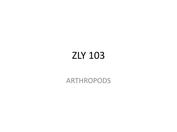 ZLY 103