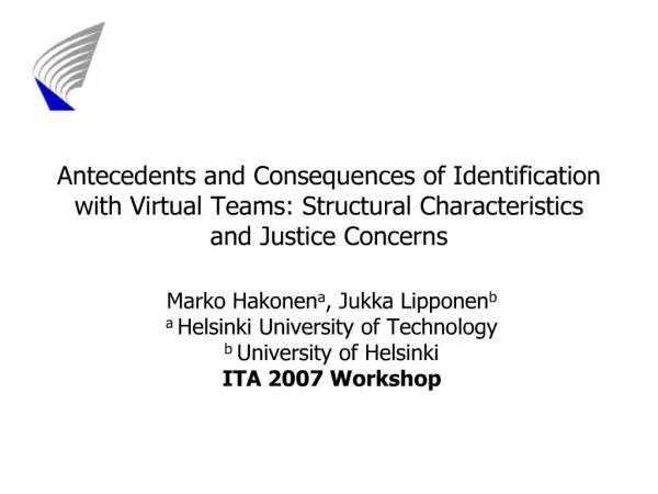 antecedents and consequences of identification with virtual teams: structural characteristics and justice concerns