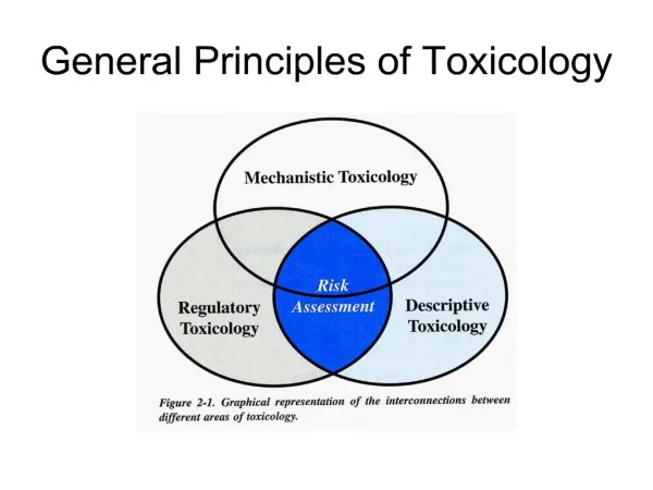 general principles of toxicology