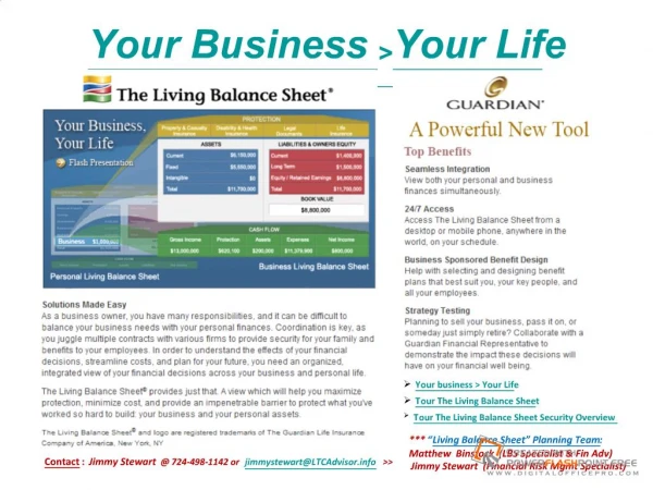 Living Balance Sheet