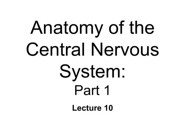 anatomy of the central nervous system: part 1