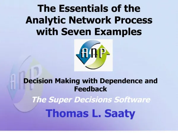 the essentials of the analytic network process with seven examples