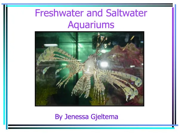 freshwater and saltwater aquariums