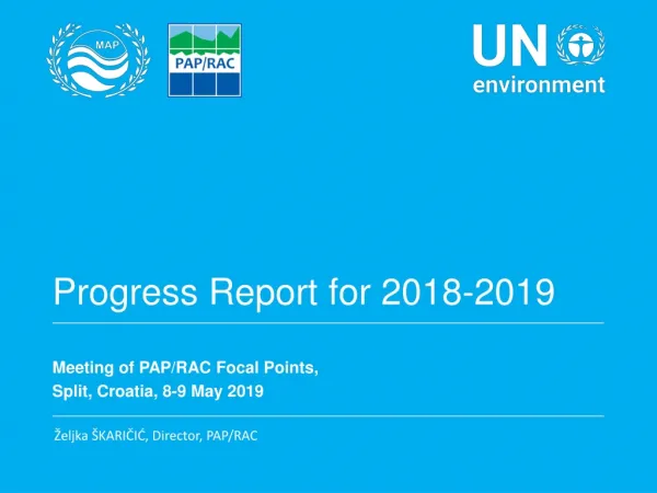 Progress Report for 2018-2019