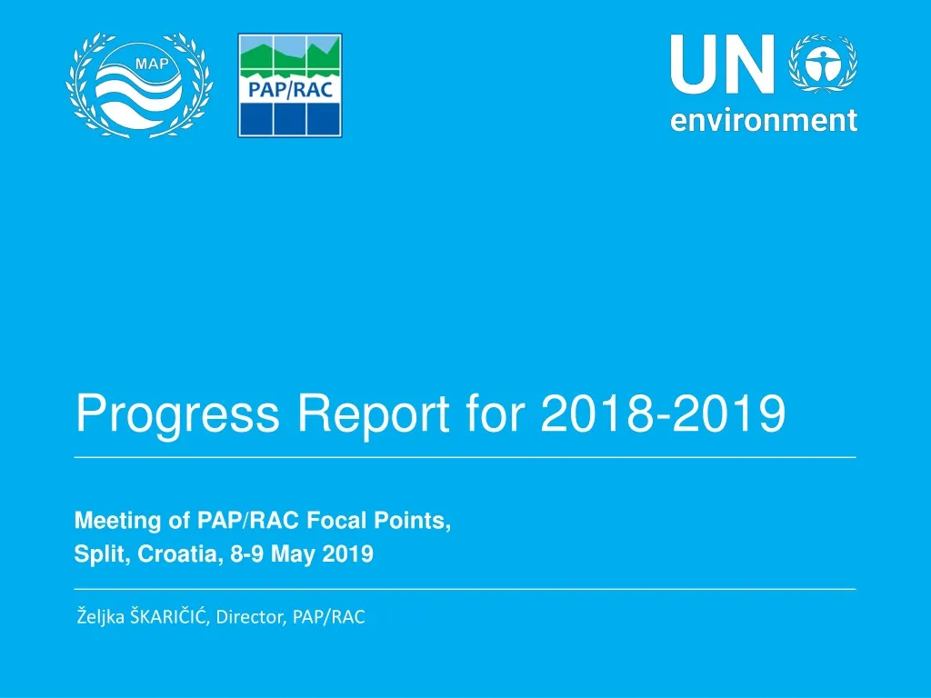 progress report for 2018 2019