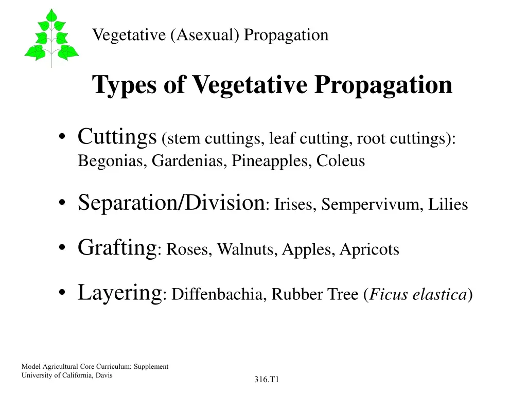 types of vegetative propagation