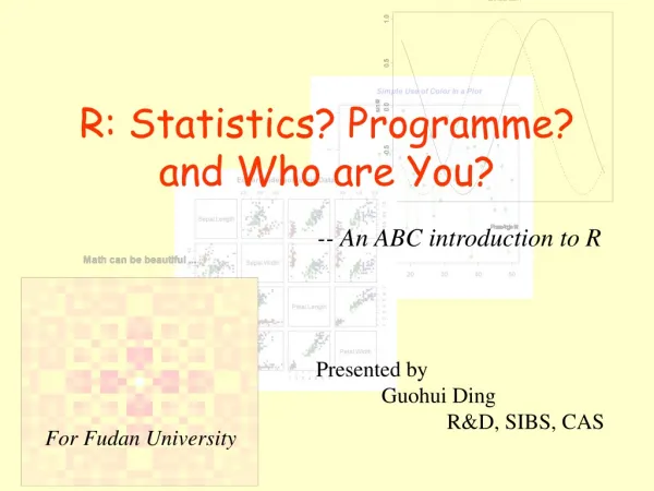 R: Statistics? Programme? and Who are You?