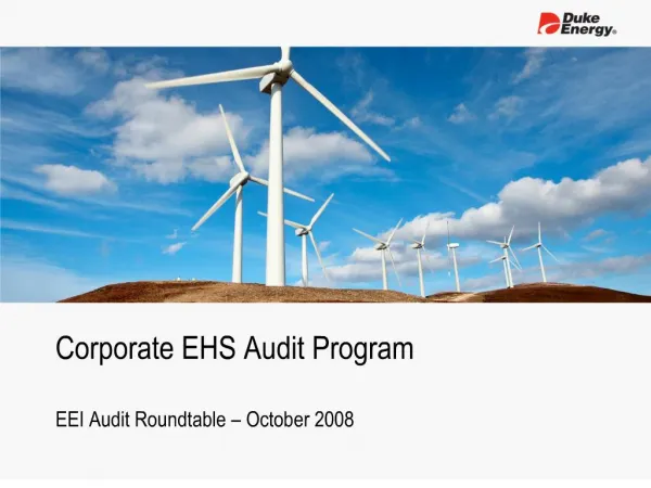 corporate ehs audit program