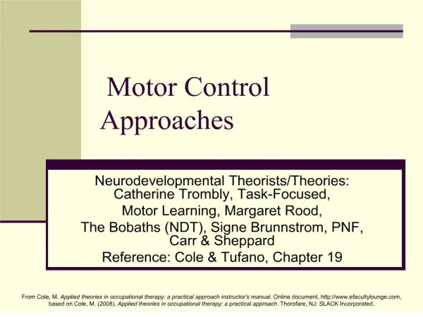 motor control approaches