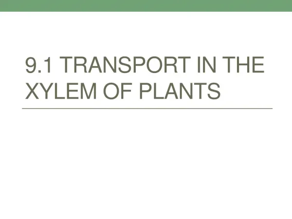 9.1 Transport in the Xylem of Plants