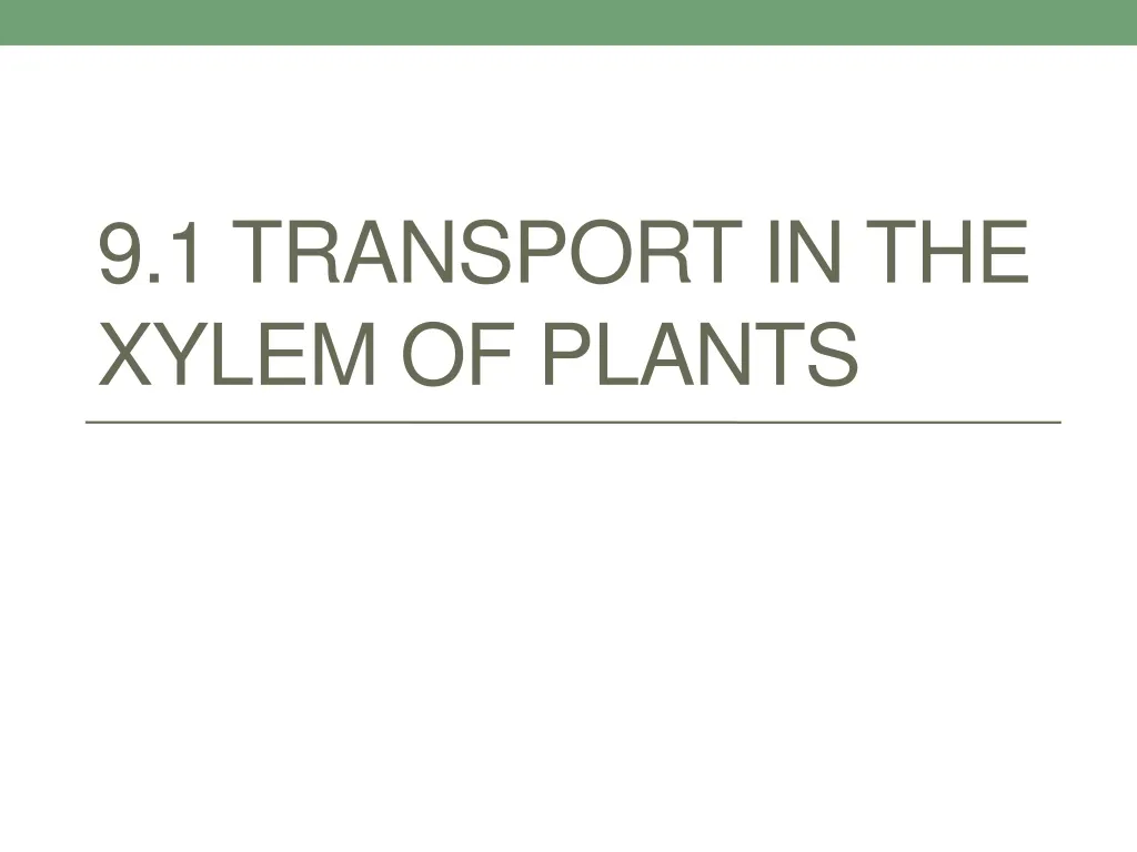 9 1 transport in the xylem of plants